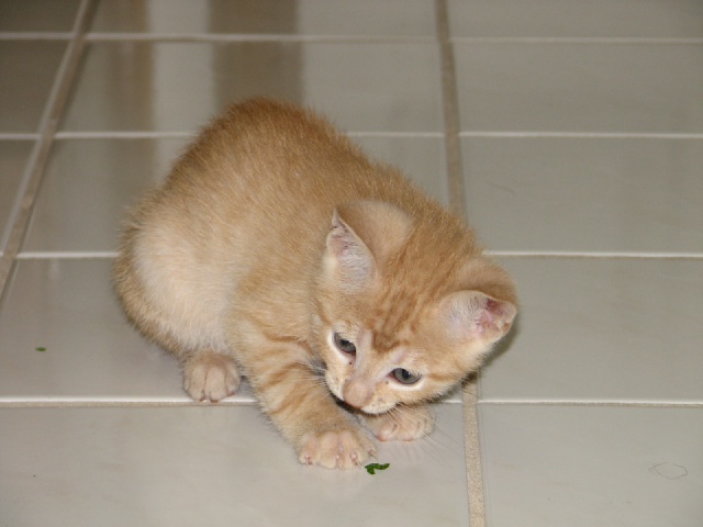 20100206 443.JPG
